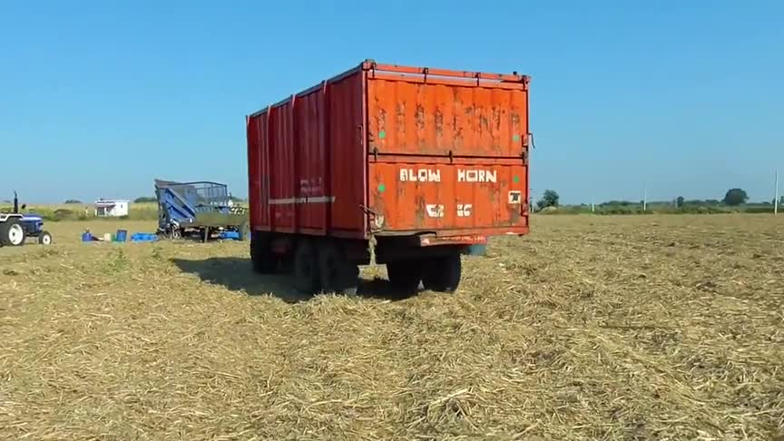 印度砍甘蔗机是这样的拉甘蔗车也是与众不同