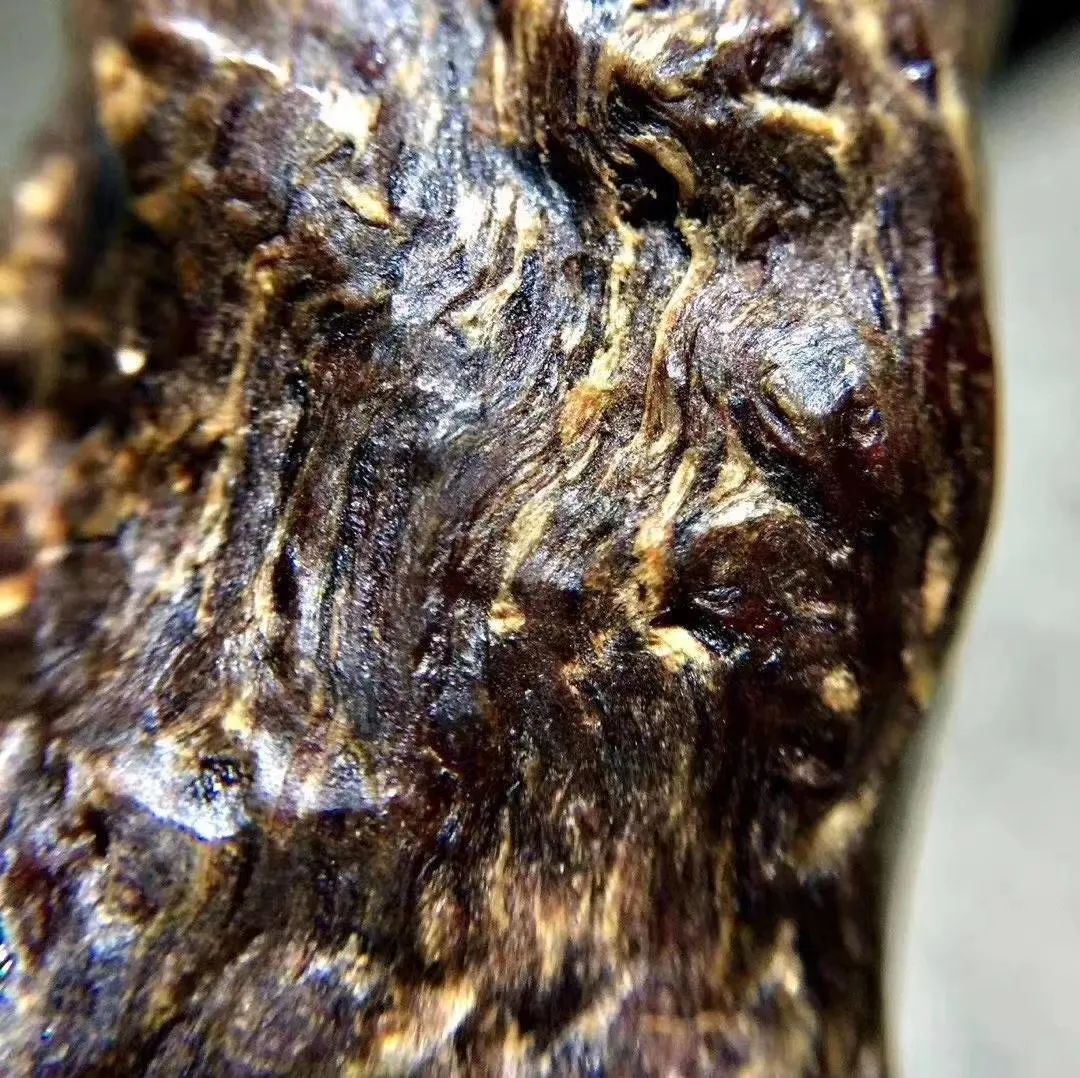 善于假冒的菲律宾沉香极品真极品差是真心差