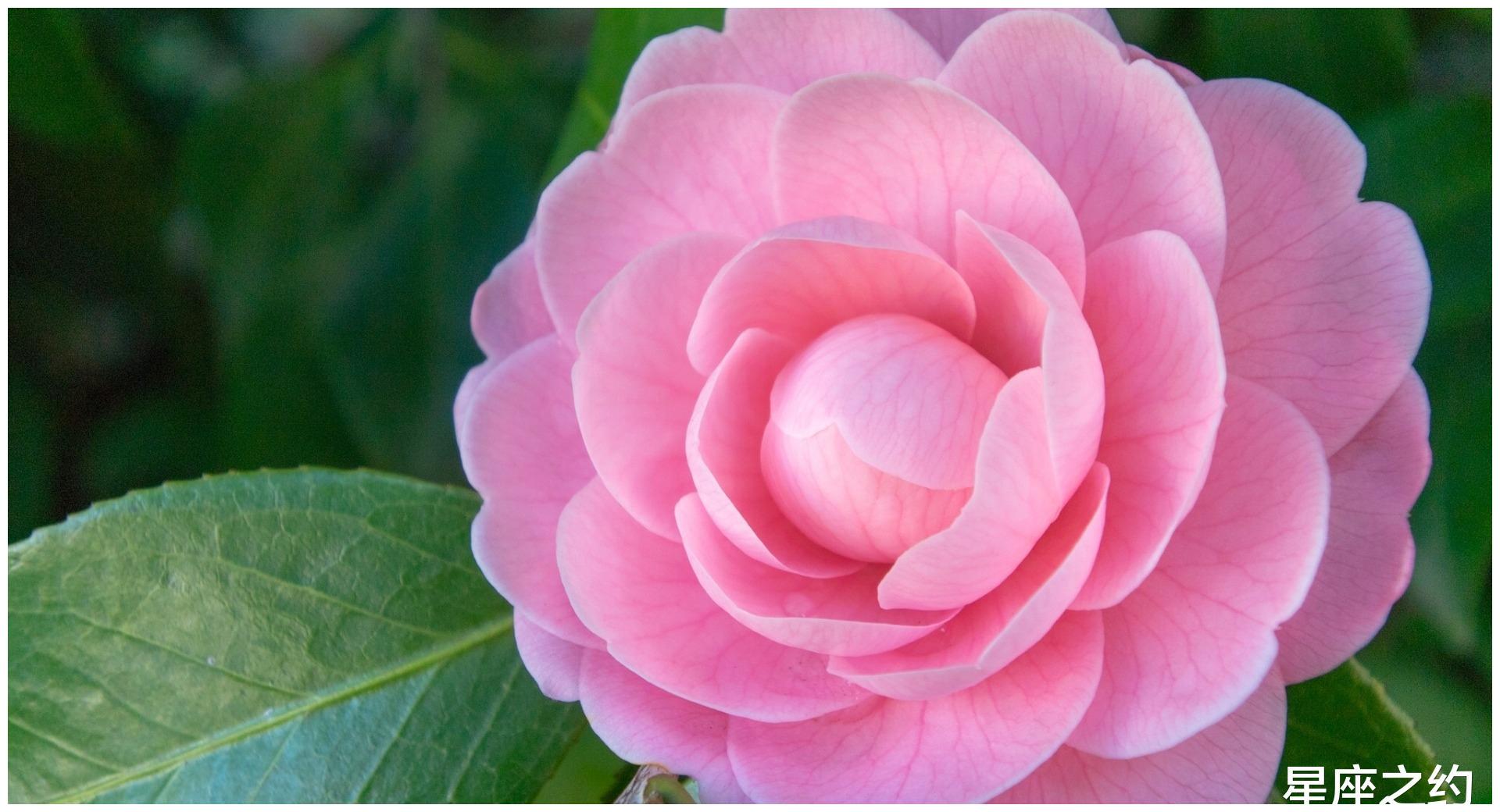 5月23日 29日星座运势 渐入佳境 意气风发的四大星座 星座 运势 向前冲 新浪新闻 5月23日 29日星座运势 渐入佳境 意气风发的四大星座 星座 运势 向前冲 新浪新闻