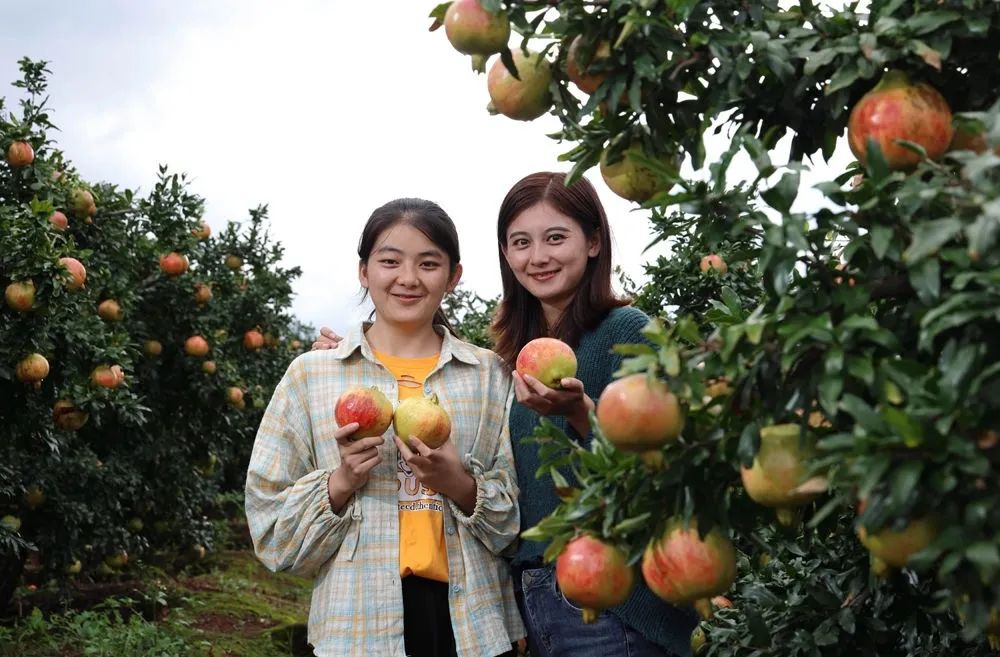 红楼梦村姥姥信口开合 女朋友不吃饭该怎么哄她