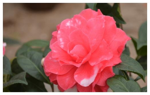 10月喜事连连,财多运广,事业顺风,越努力越幸运的3生肖休闲区蓝鸢梦想 - Www.slyday.coM 10月喜事连连,财多运广,事业顺风,越努力越幸运的3生肖休闲区蓝鸢梦想 - Www.slyday.coM