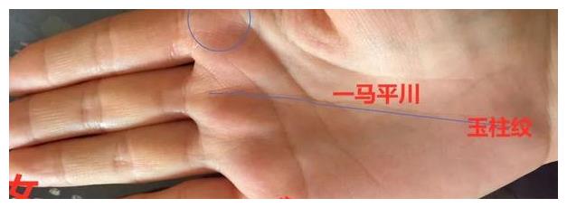 麻衣手相一马平川敢作敢为巽宫井字纹上进心强