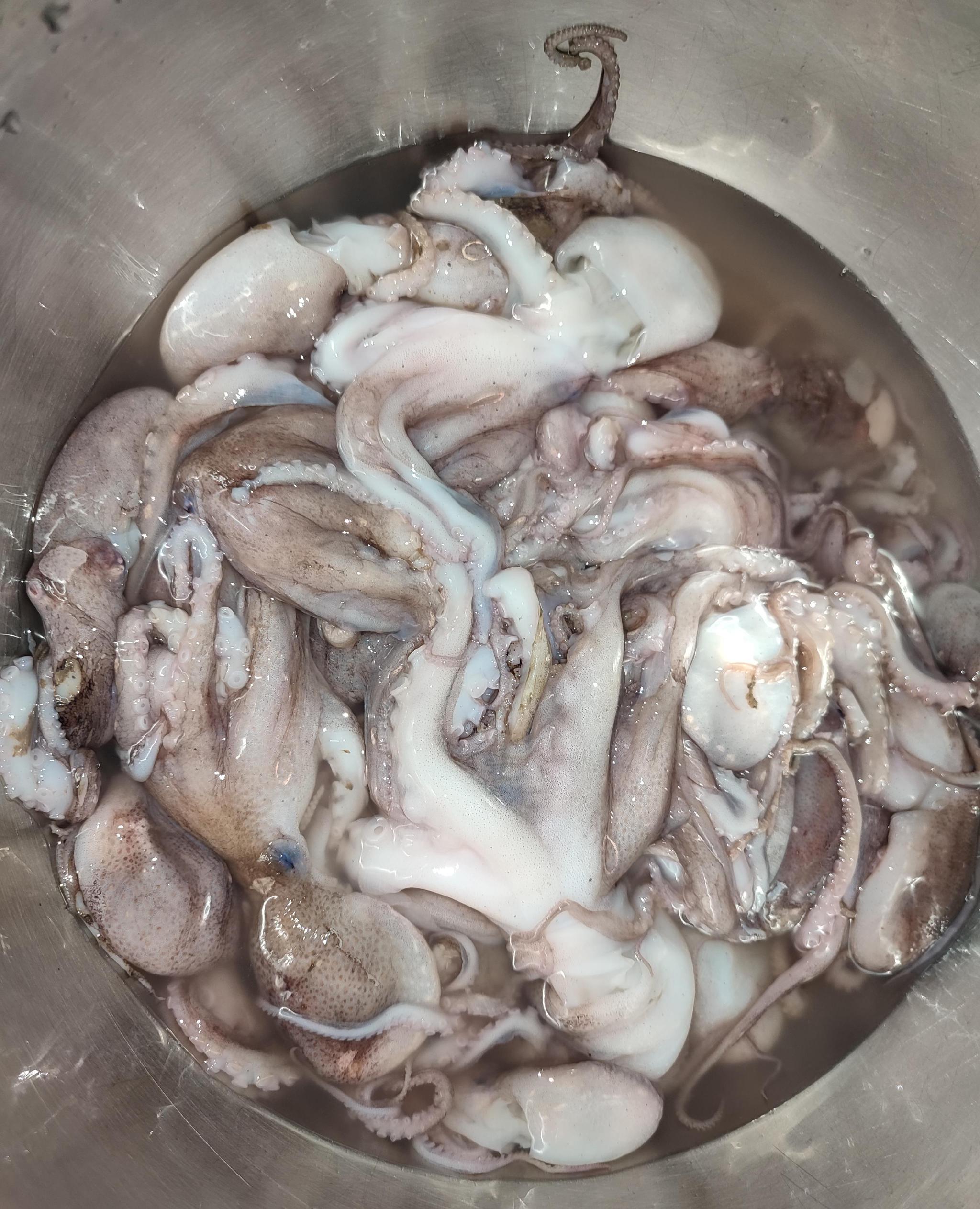 八爪鱼的做法清蒸