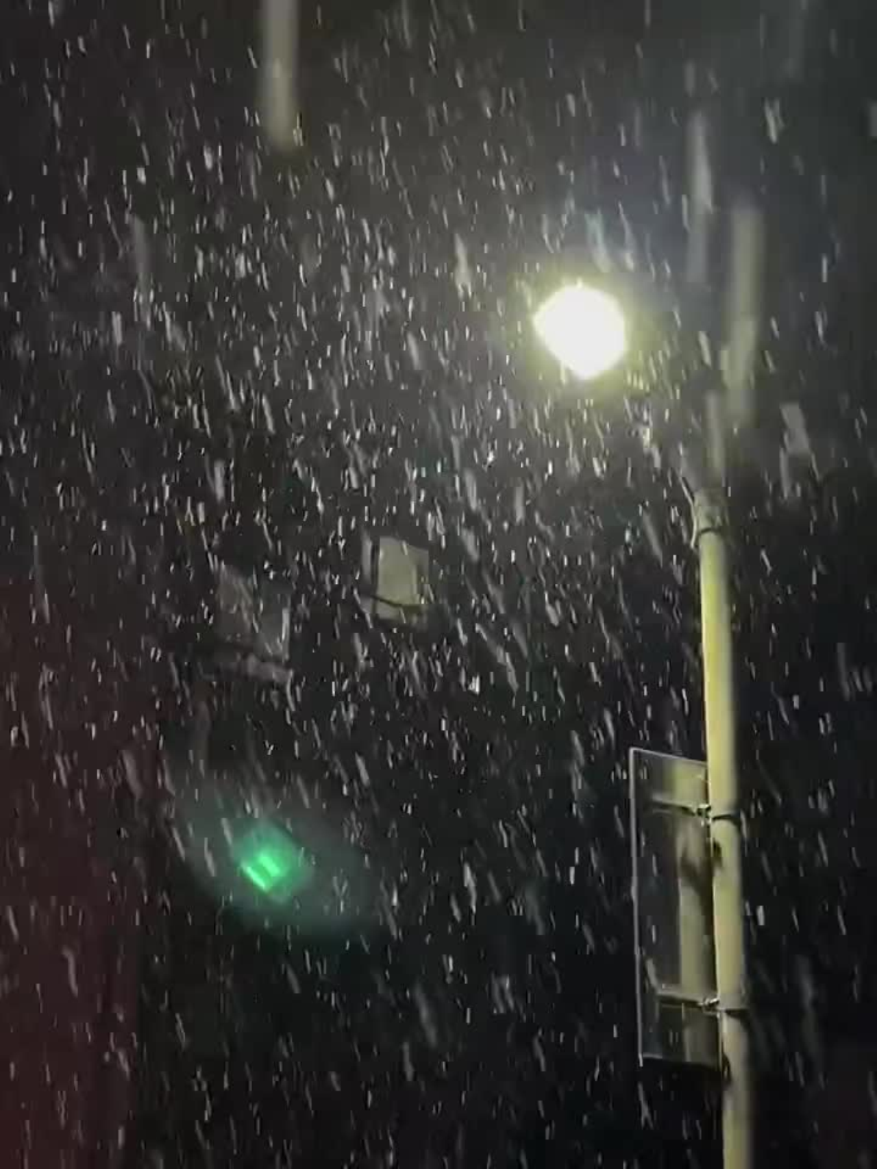 人生之路，倍感艰辛，确实需风雨之后铮骨柔情，磨砺之后化蛹成蝶