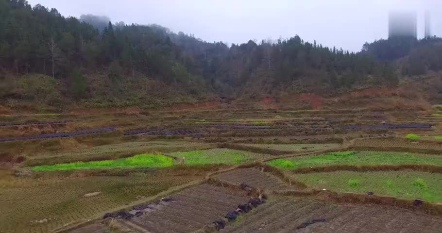 贵穴有夹耳峰,青龙白虎守护,这户人家才是顶级风水宝地