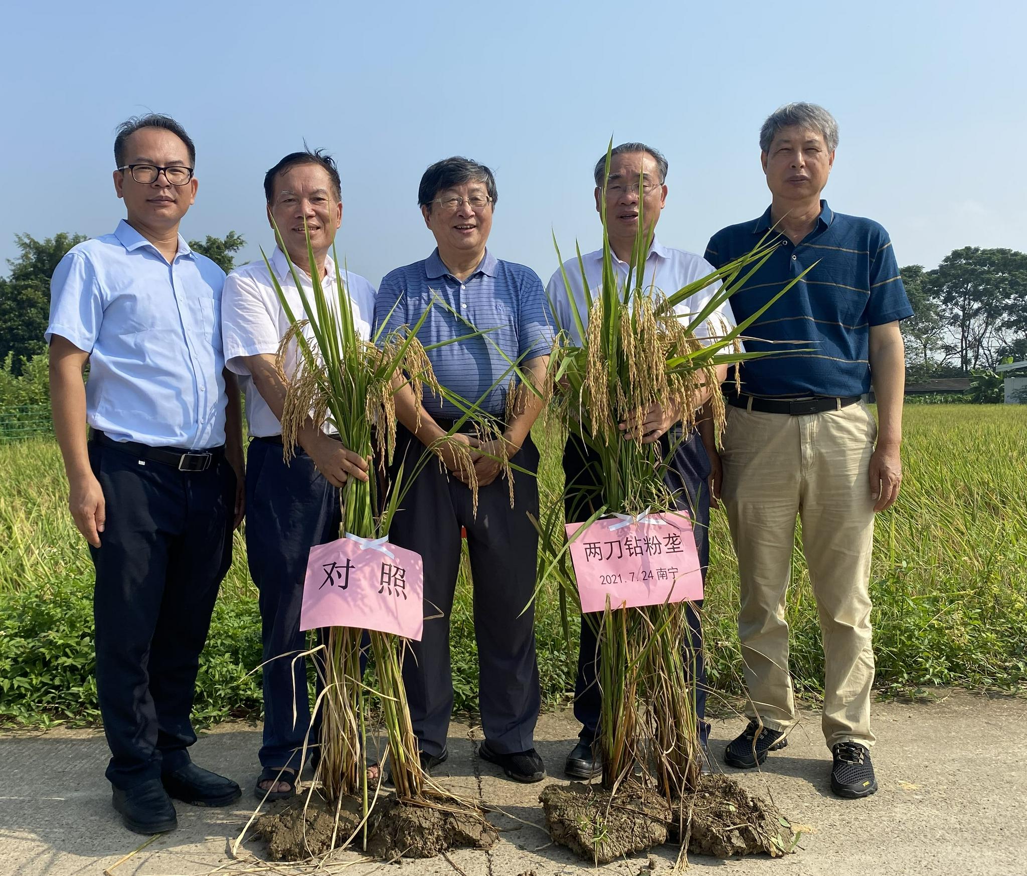 粉垄：超级“藏粮”与“减灾”，有望跻身世界主流技术