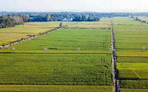 广西有400亩农田一夜之间消失变成湖泊,随着几声巨响又恢复成田_高清
