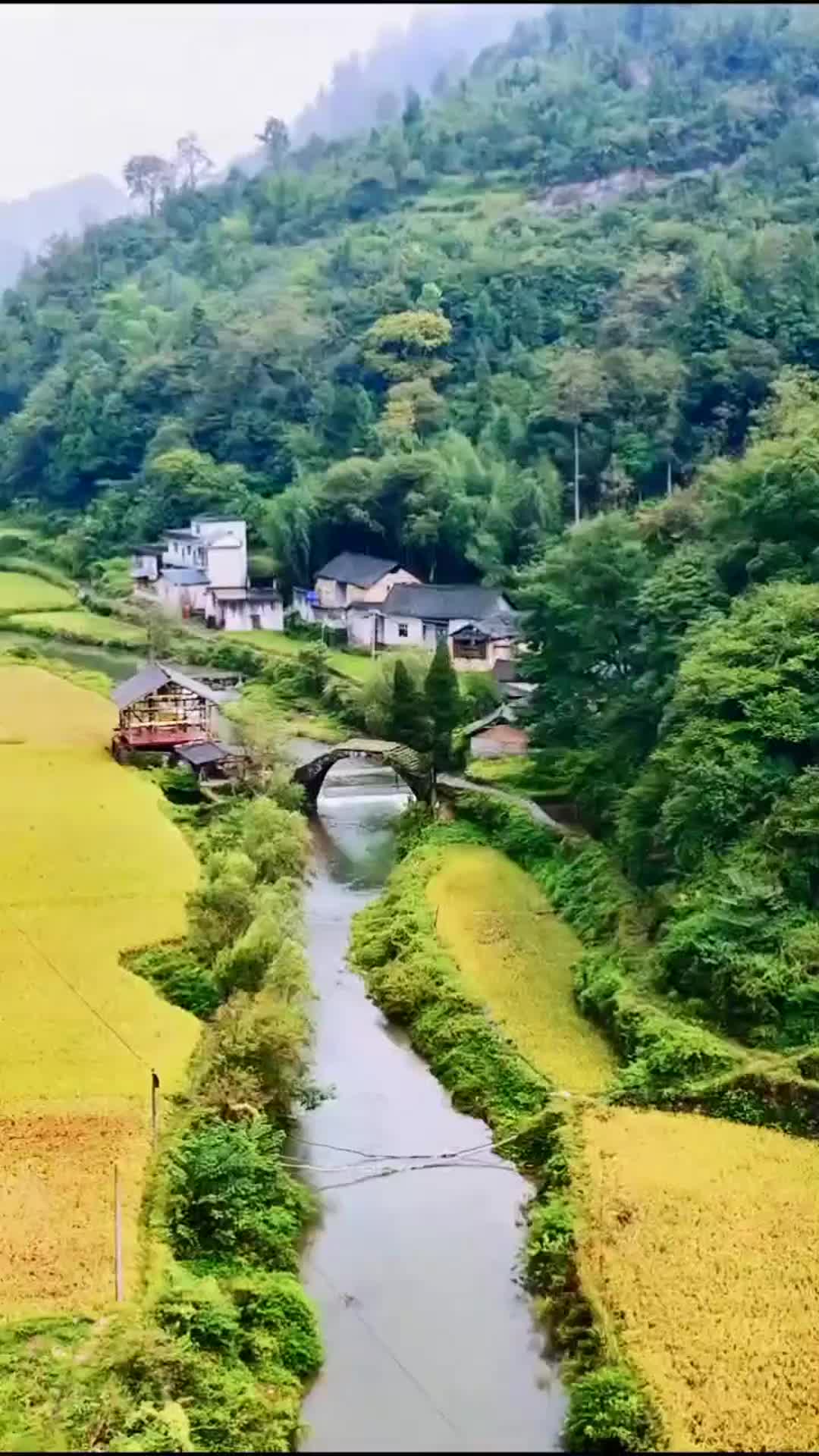一首《何瑶-黎明的曙光》简直太好听了吧,情不自禁一起唱起来了_手机