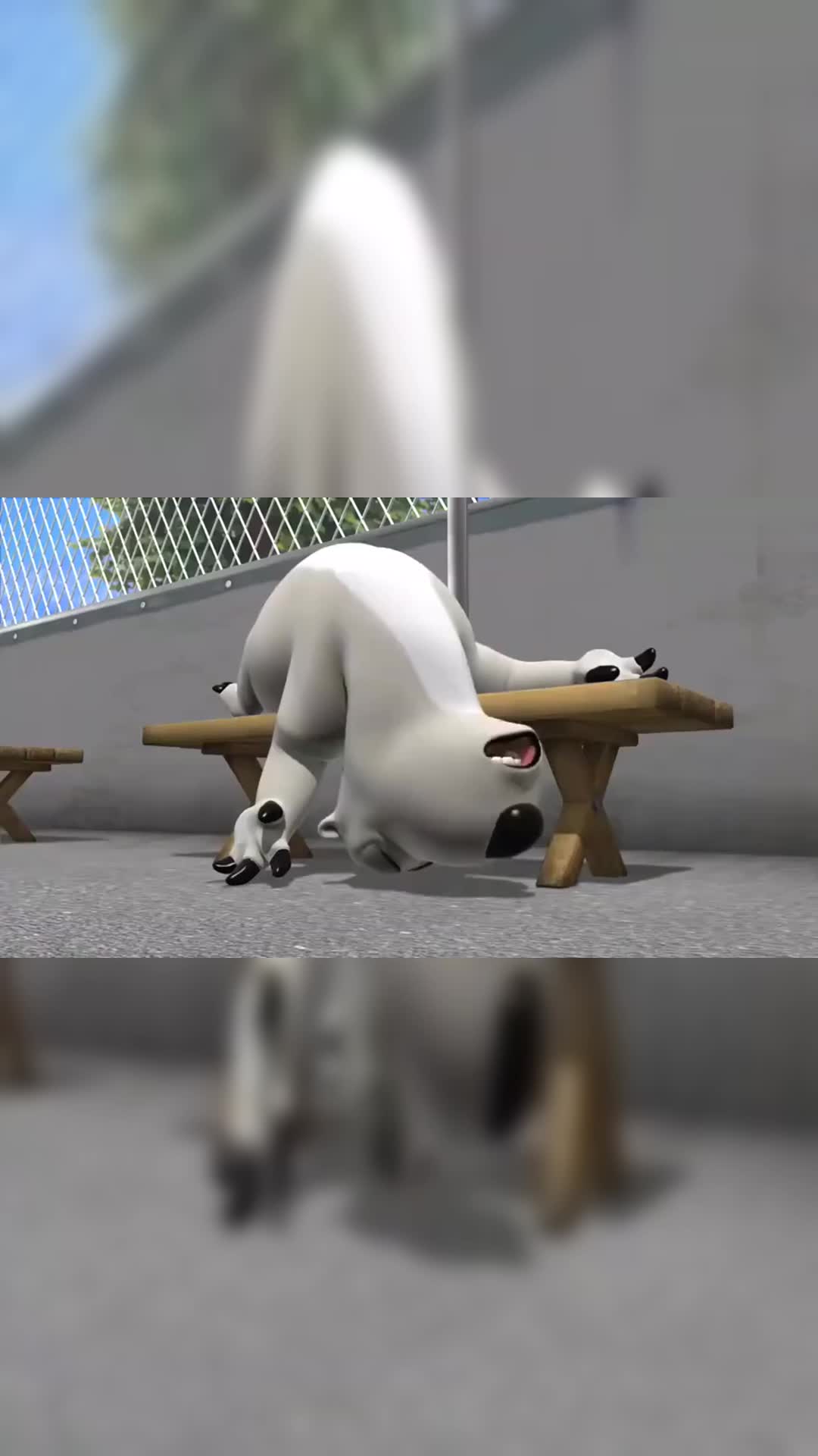 贝肯熊贝肯熊这睡的睡姿很妖娆简直是无情