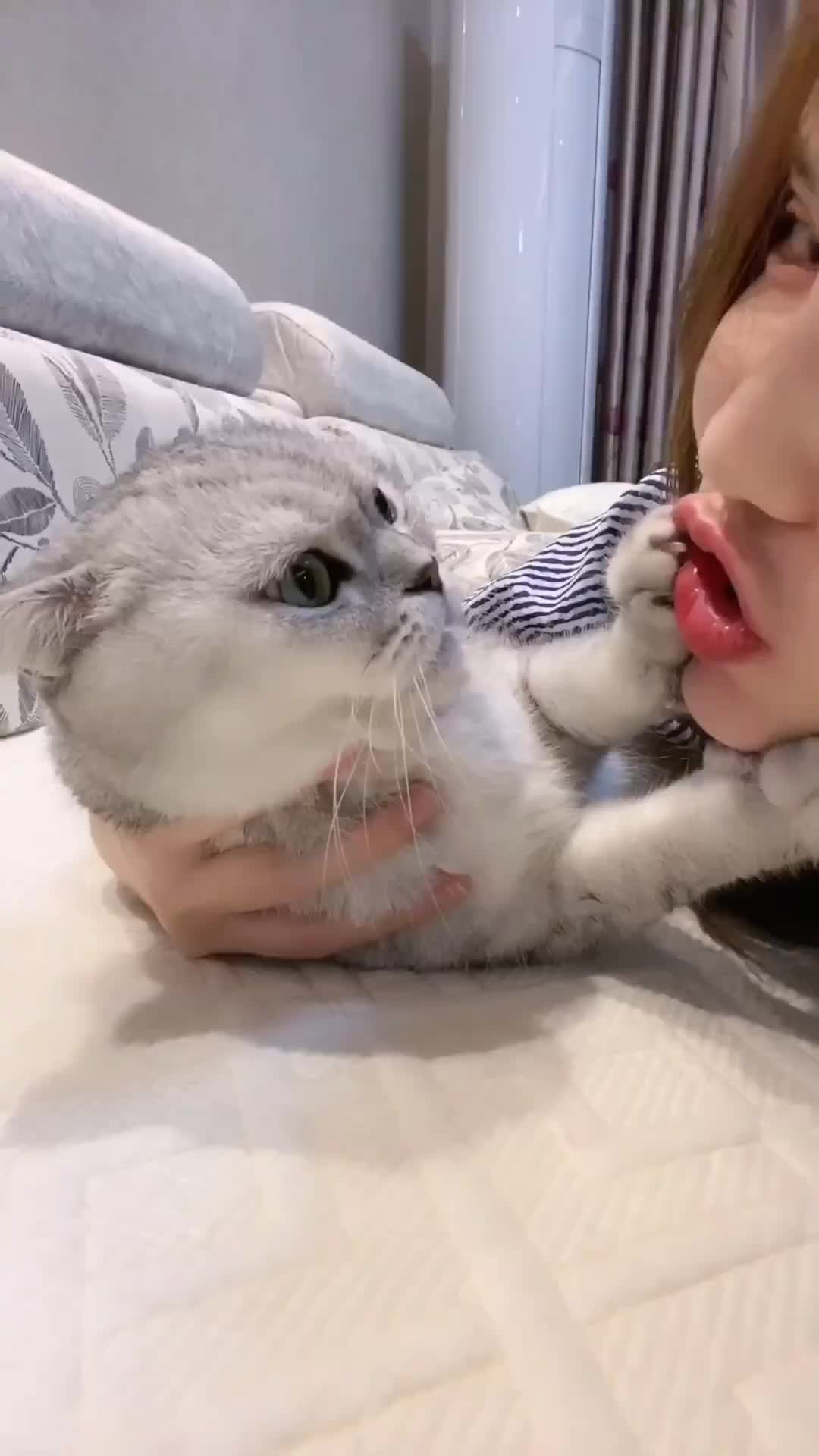 今天一口也不让亲,为什么大部分猫都讨厌主人亲呢!__财经头条