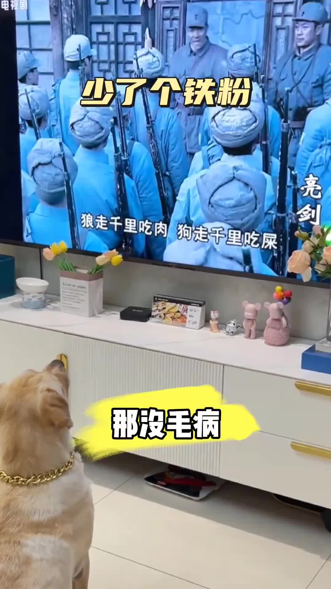 少了个铁粉啊，狗子无语了