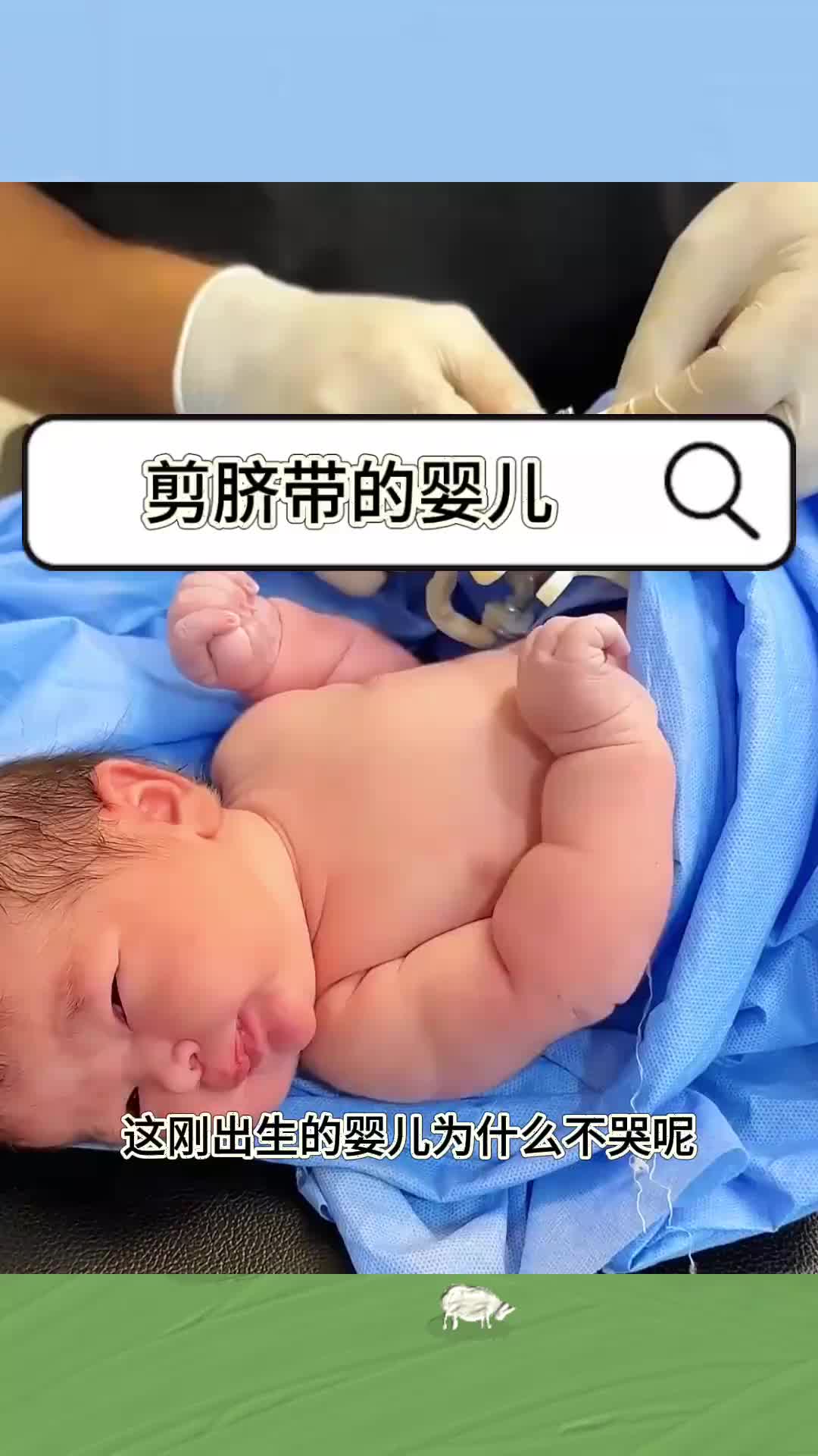 剪脐带的婴儿，细皮嫩肉软乎乎的