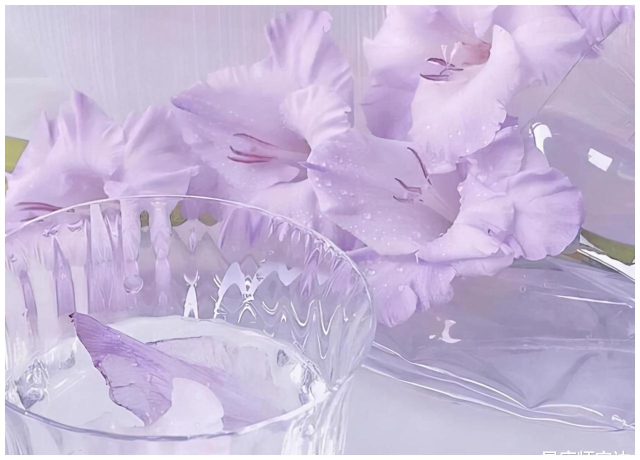 巨蟹座慢慢不搭理你的四点原因,来看为什么休闲区蓝鸢梦想 - Www.slyday.coM 巨蟹座慢慢不搭理你的四点原因,来看为什么休闲区蓝鸢梦想 - Www.slyday.coM