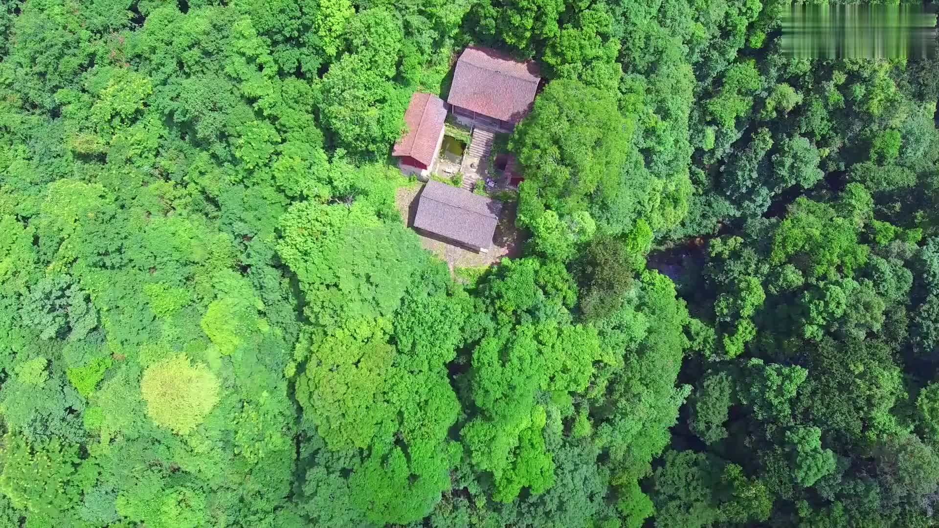 这才是真正的隐居,贵州一深山,连路都没有,居然有一座小院人家