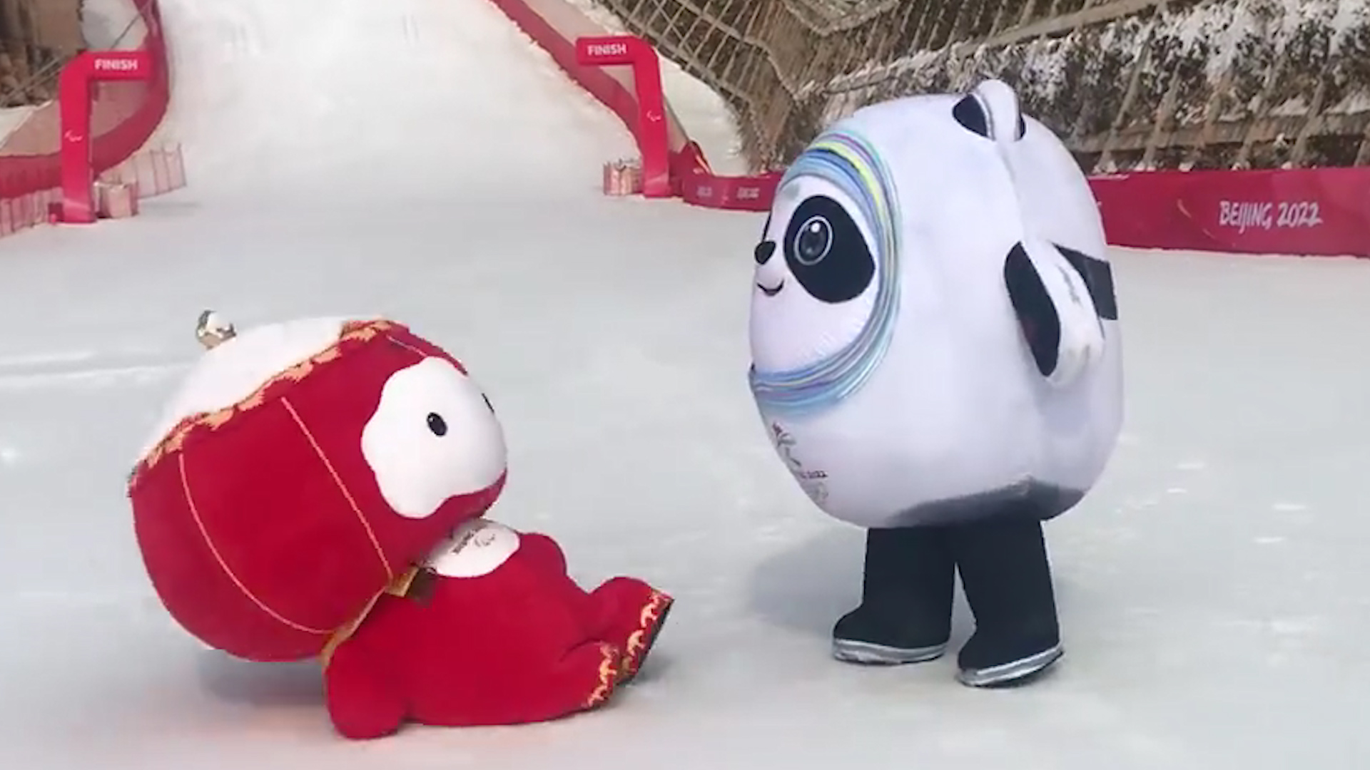 冰墩墩要替雪容融上班墩子把好朋友撞翻在地费劲用小短手扒拉
