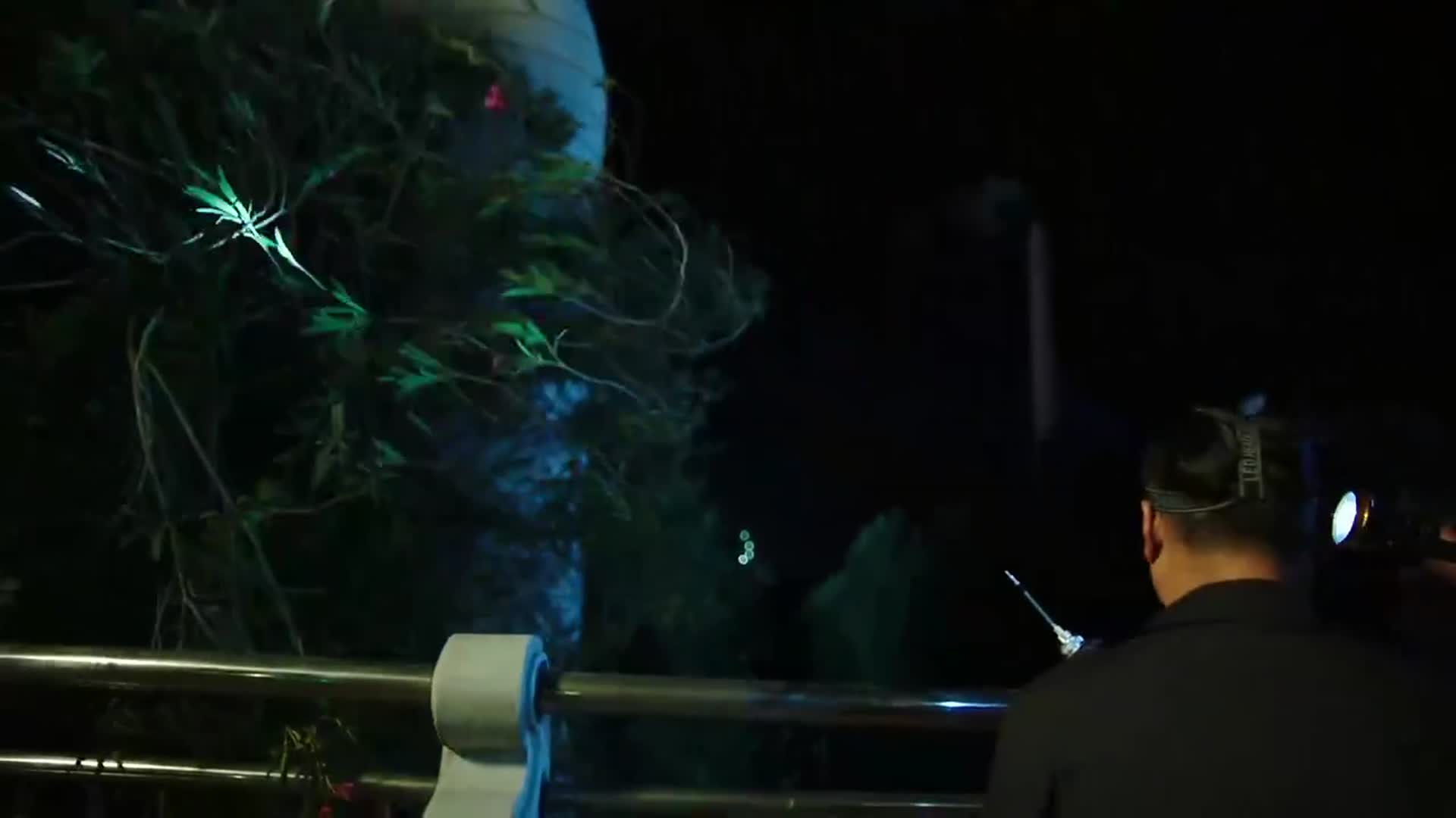 欧姐与萌宠的主页 新浪网