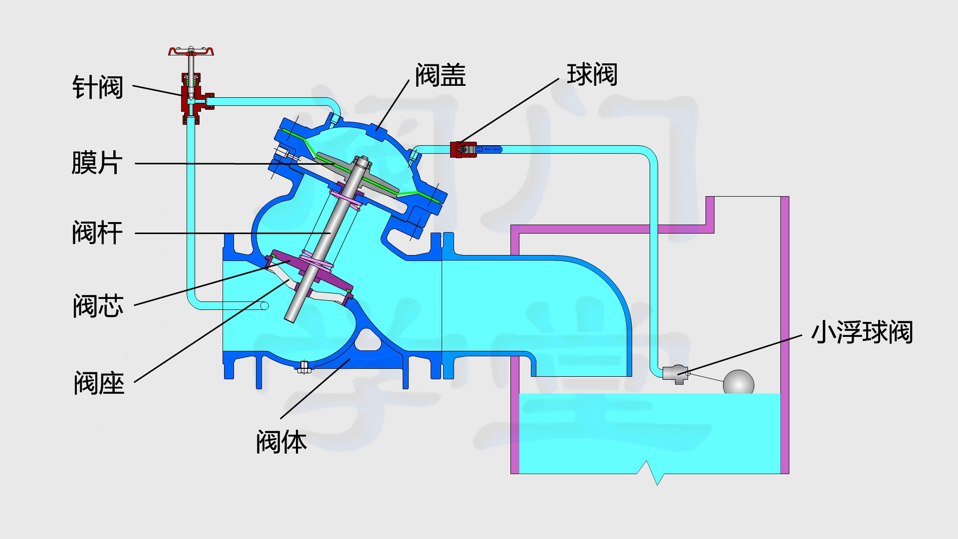 玉环关键词seo排名