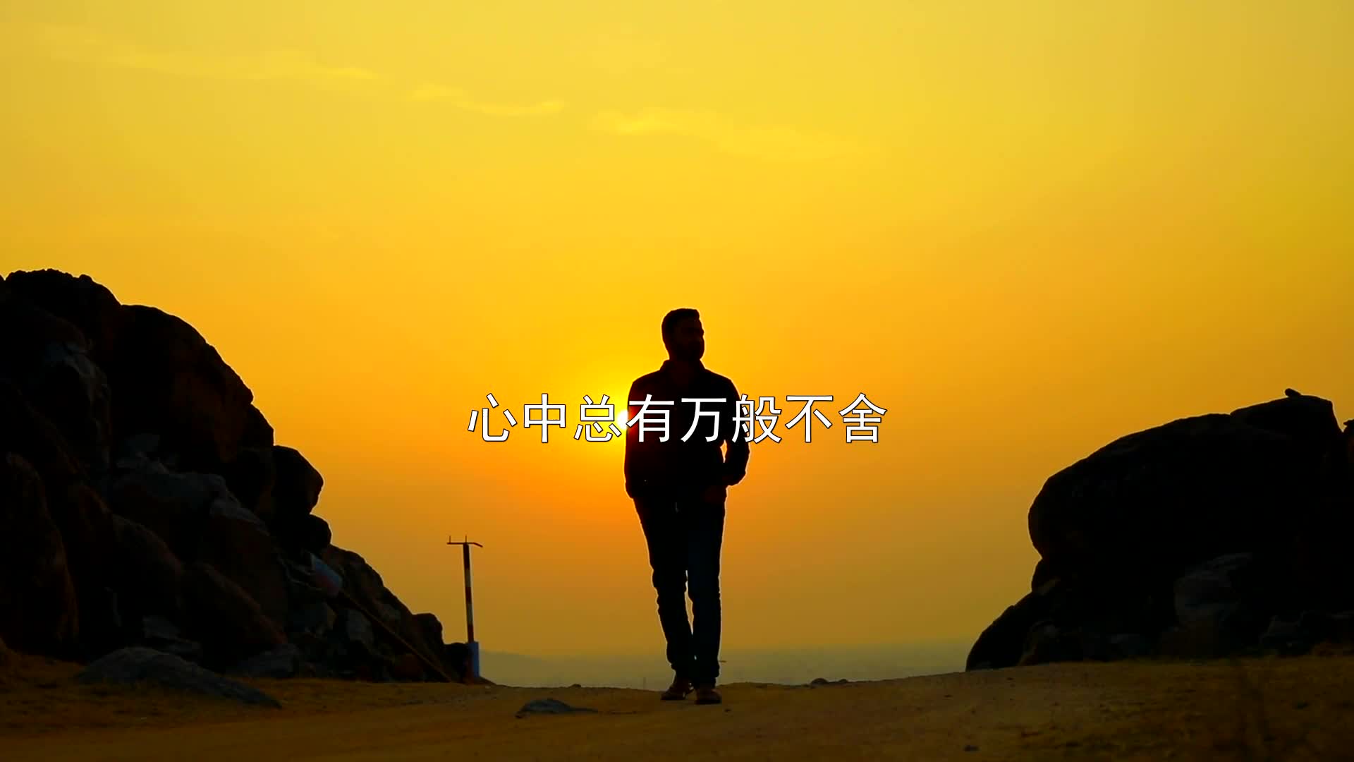 心中终有万般不舍也无可奈何他乡容不下灵魂故乡安不了肉身