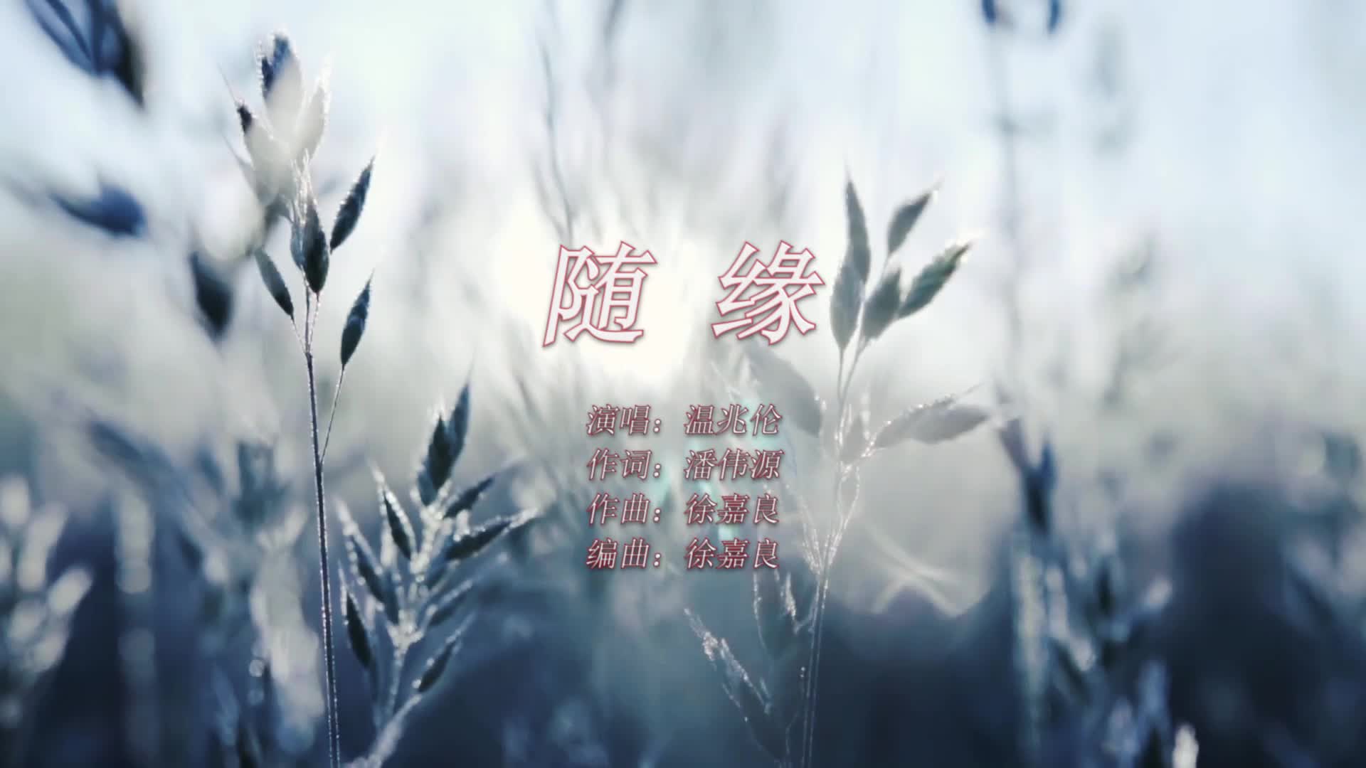 最新披露显示，草房随缘验证的全面解读与市场洞察