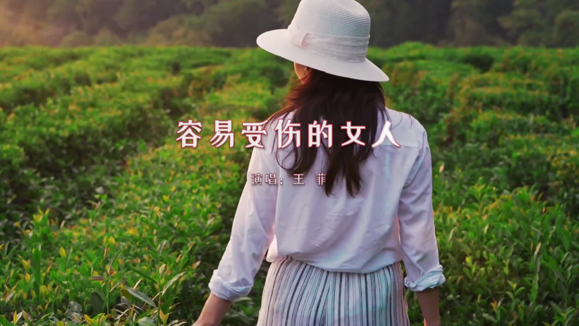 【粤语金典】王菲《容易受伤的女人》