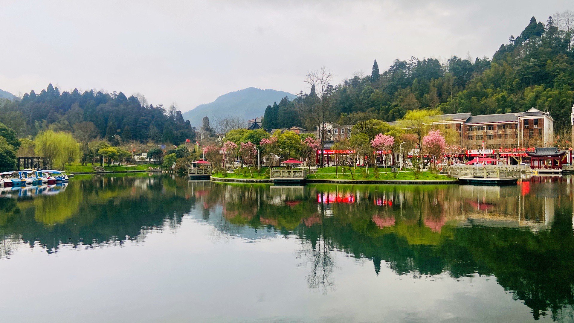 春暖花开季 井冈山茨坪挹翠湖公园风景美如画（摄/王伟）