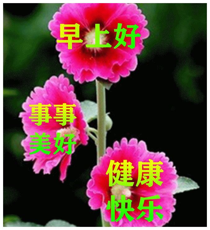 春天早上好暖心语录祝福图片大全,很有创意的早安精美图片带字__财经