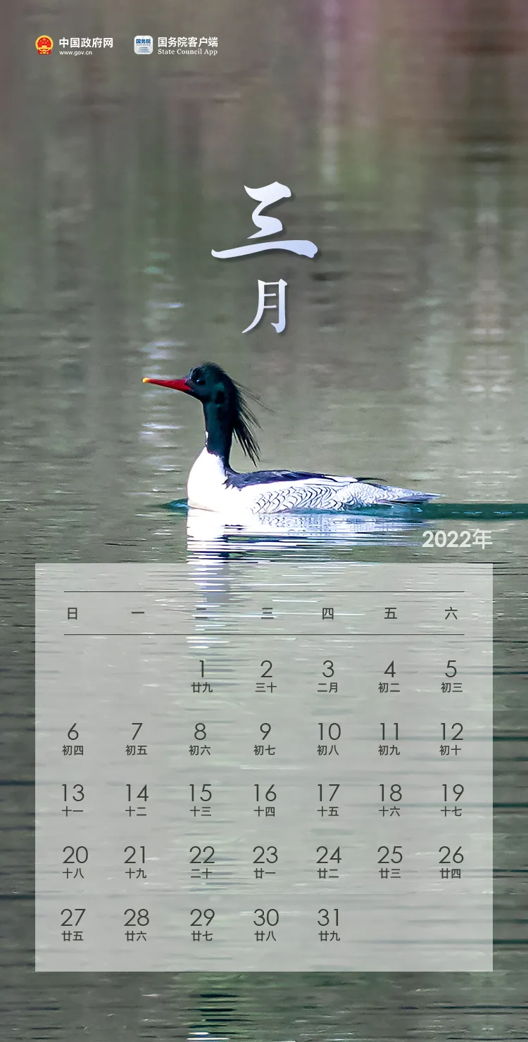 放假通知！五一连休5天，春节休...休闲区蓝鸢梦想 - Www.slyday.coM