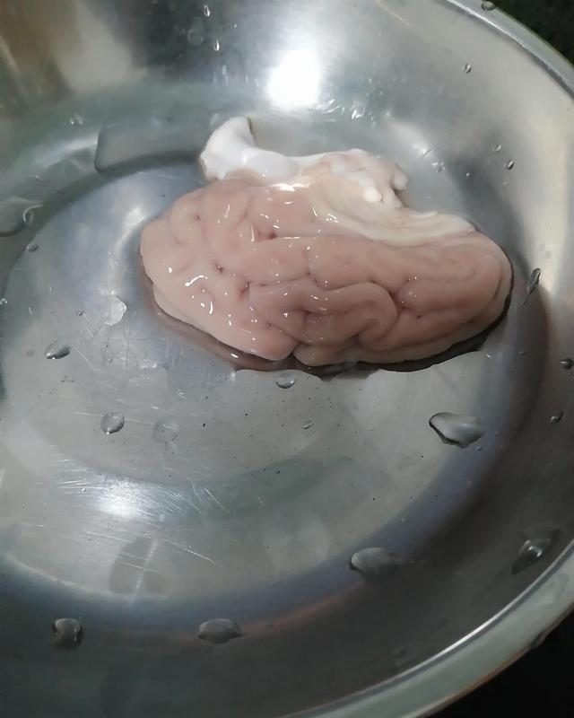 以形补形-冰糖蒸猪脑__财经头条