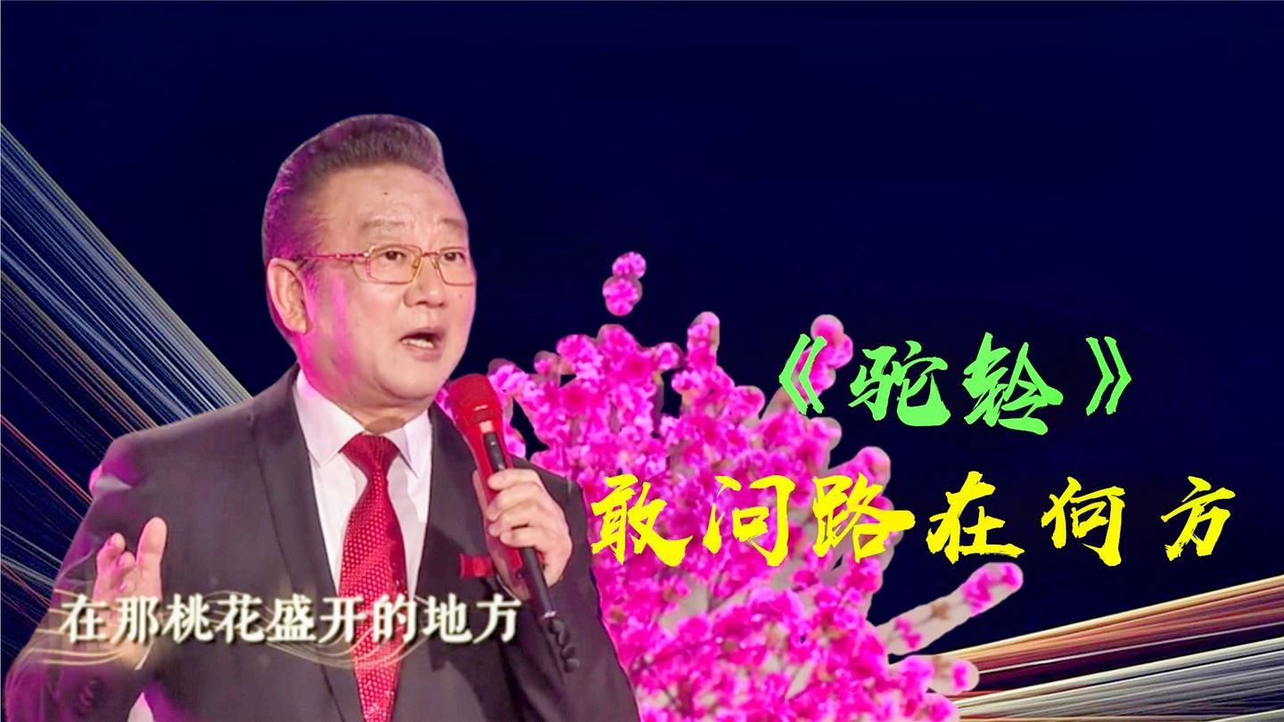 为您推荐: 朱之文于文华《驼铃》,朱之文在台上乐坏了,唱得太好了 为