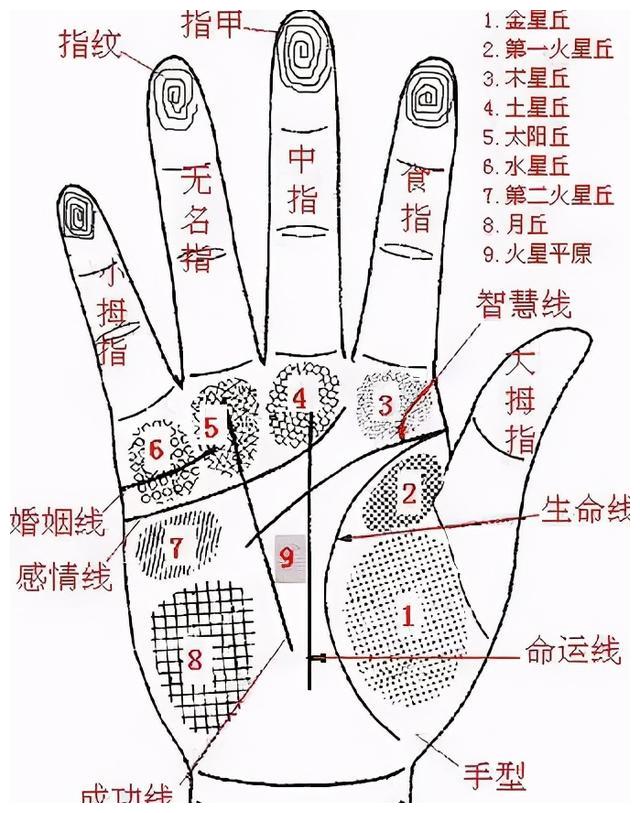 每个人的手纹都不一样一起来通过手纹看看你的身体状况