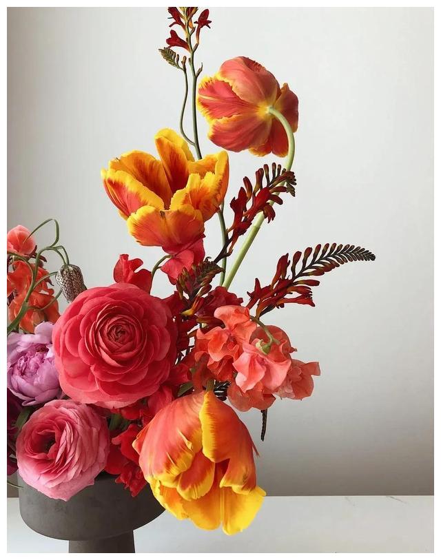 2022生肖龙——傲气与傲骨还是有区别的，傲骨是他们成功的源泉休闲区蓝鸢梦想 - Www.slyday.coM