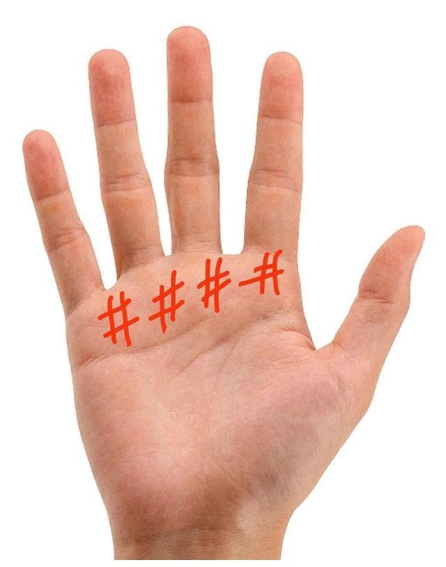 手掌上的井字挝坡纺鞘羌榈奈坡方凶井字纹