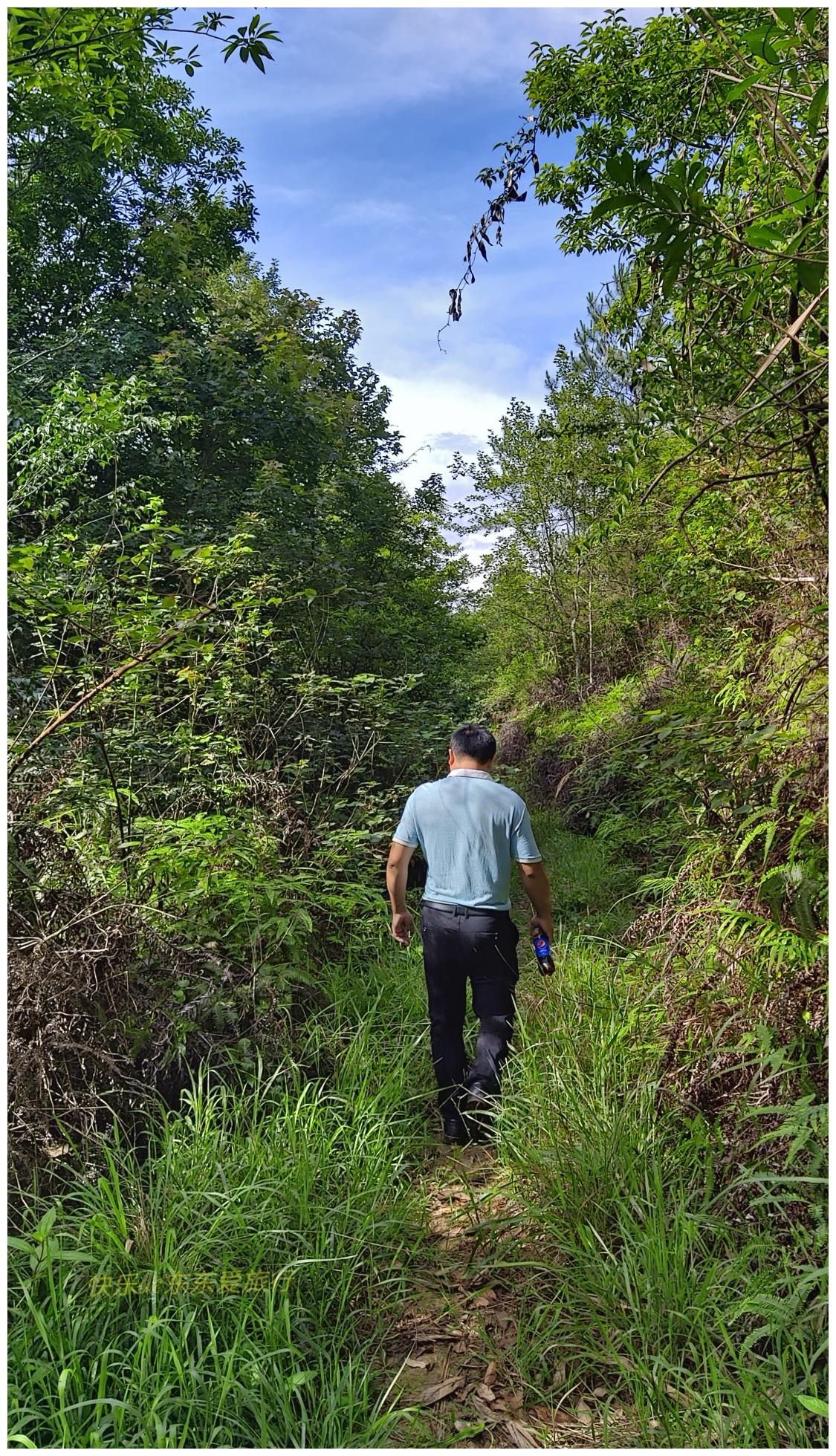 去显龙村寻古茶亭,80多岁廖伯带我看老祠堂,给我讲王志安的故事休闲区蓝鸢梦想 - Www.slyday.coM 去显龙村寻古茶亭,80多岁廖伯带我看老祠堂,给我讲王志安的故事休闲区蓝鸢梦想 - Www.slyday.coM