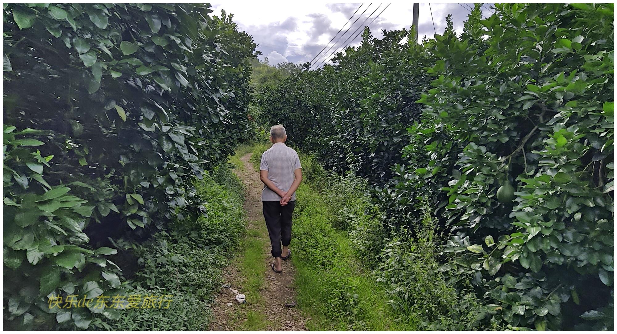 去显龙村寻古茶亭,80多岁廖伯带我看老祠堂,给我讲王志安的故事休闲区蓝鸢梦想 - Www.slyday.coM 去显龙村寻古茶亭,80多岁廖伯带我看老祠堂,给我讲王志安的故事休闲区蓝鸢梦想 - Www.slyday.coM