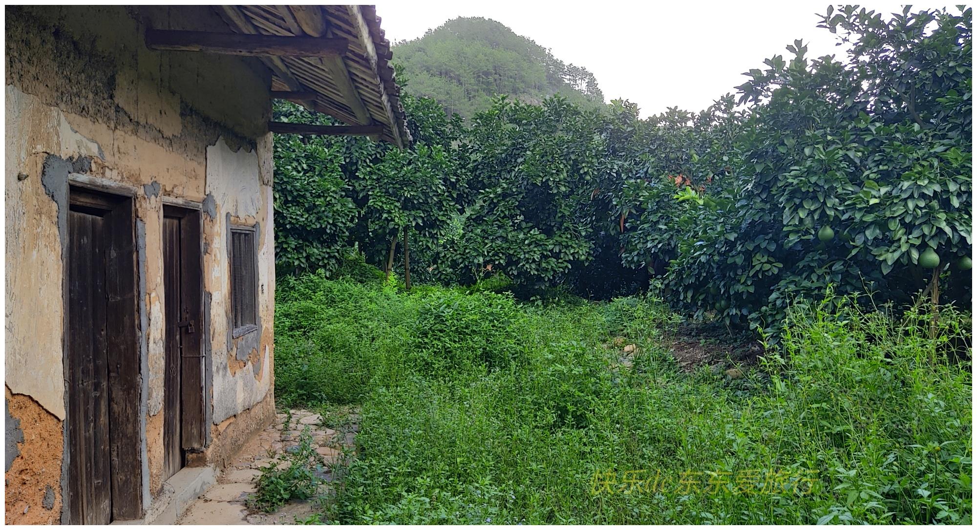 去显龙村寻古茶亭,80多岁廖伯带我看老祠堂,给我讲王志安的故事休闲区蓝鸢梦想 - Www.slyday.coM 去显龙村寻古茶亭,80多岁廖伯带我看老祠堂,给我讲王志安的故事休闲区蓝鸢梦想 - Www.slyday.coM