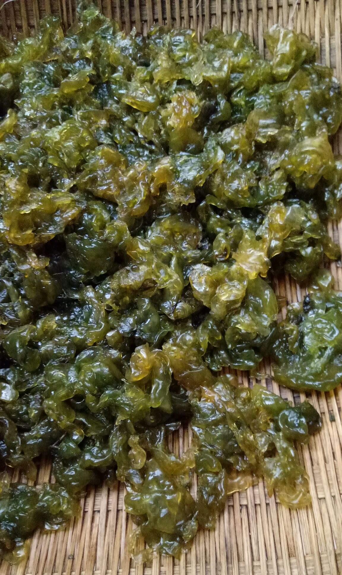 中国特色山野美食《地木耳》__财经头条