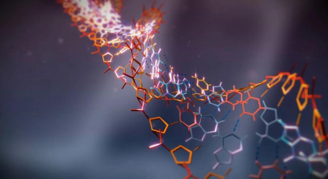陈根mit开发全新dna信息存储技术