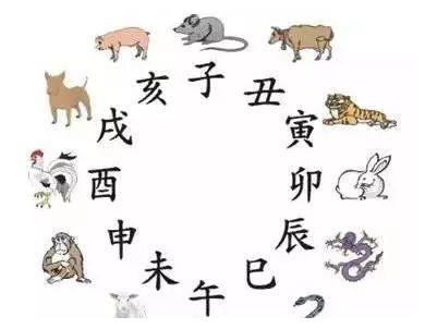 4月3日生肖虎运势精准解读