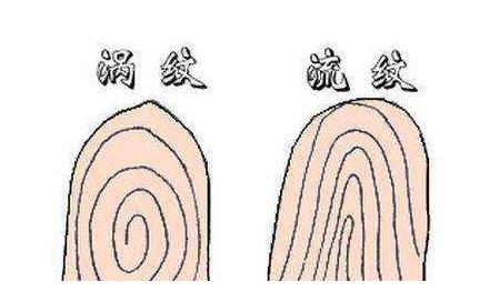 这个手指是涡纹婚姻幸福美满