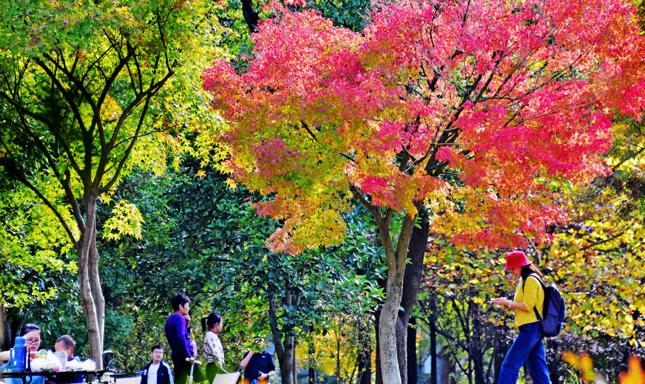 调查结果：佛山里水哪里有一百块的爱情？真实情况与选择指南