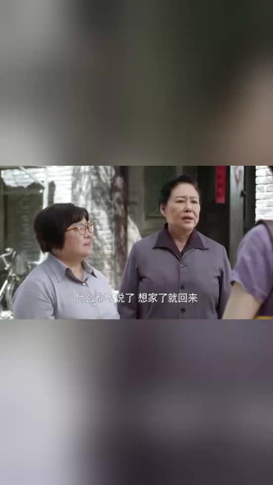 平凡岁月：李妈妈见大雅和孩子离开了，给毛驴嘱咐照顾好家庭