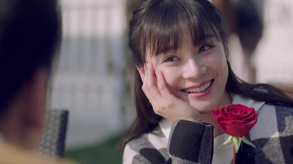 我爱男保姆:陆晴以为玫瑰花是方原送的还很开心,结果朝阳来了