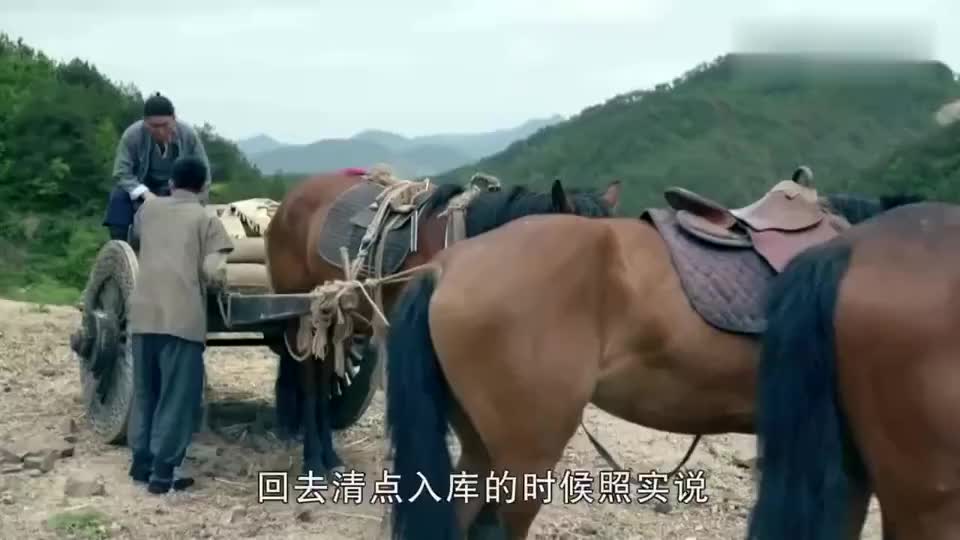 一代枭雄何辅堂这次行动太奇葩输赢让人看不懂说输赢的都有