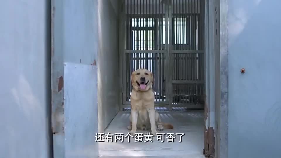 警花与警犬的樱桃图片