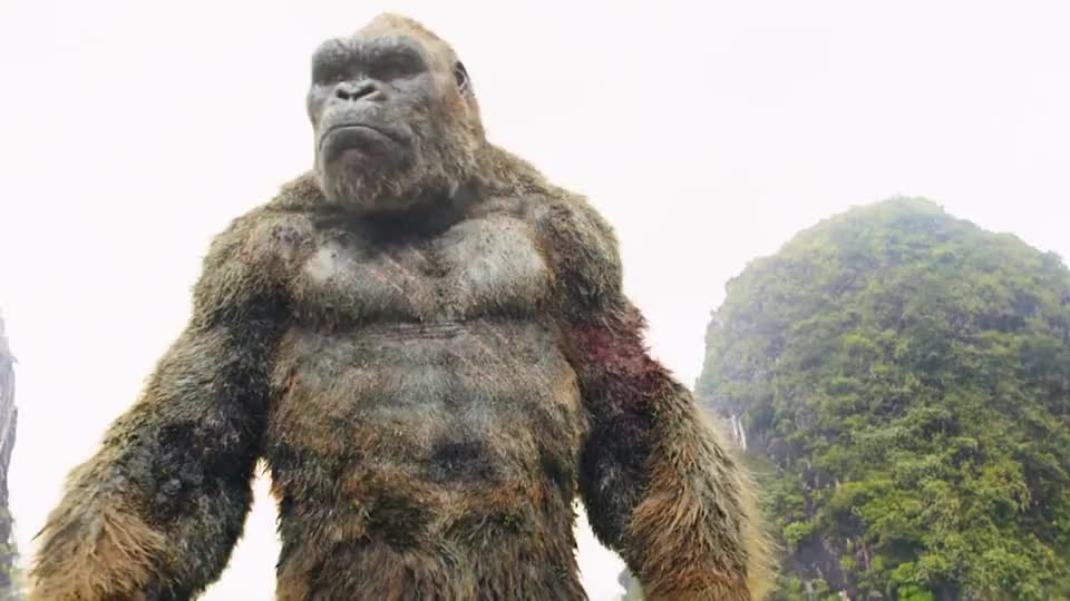 见识下金刚芭比李诗英的肌肉…… 为您推荐: 光头佬假装上吊骗金 