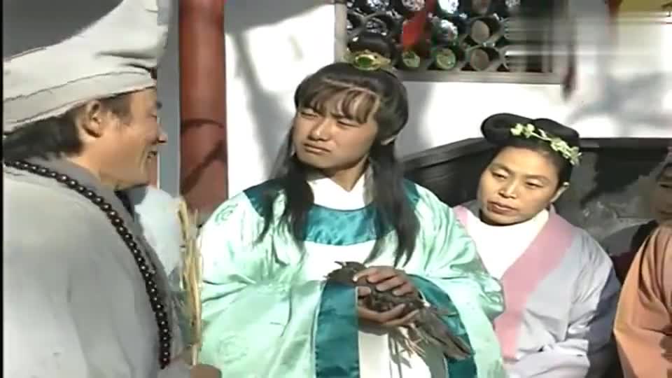济公:济公轻轻一扇救活小鸟,富少大为一惊,缠着要拜济公为师