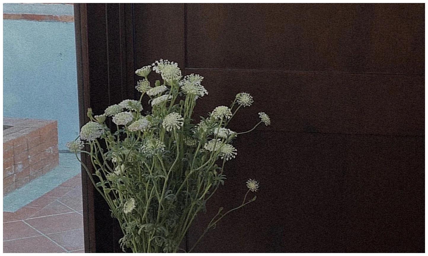 放弃一个喜欢了很久的人是什么感觉？休闲区蓝鸢梦想 - Www.slyday.coM