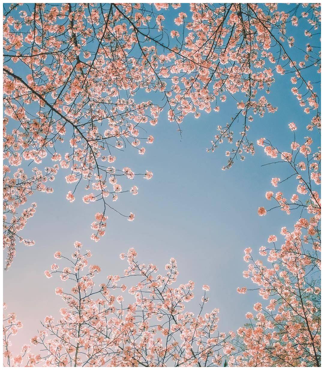 6月25日到7月6日 四大星座意外之财 不屈不挠 高人指点 射手座 好运 巨蟹座 新浪新闻