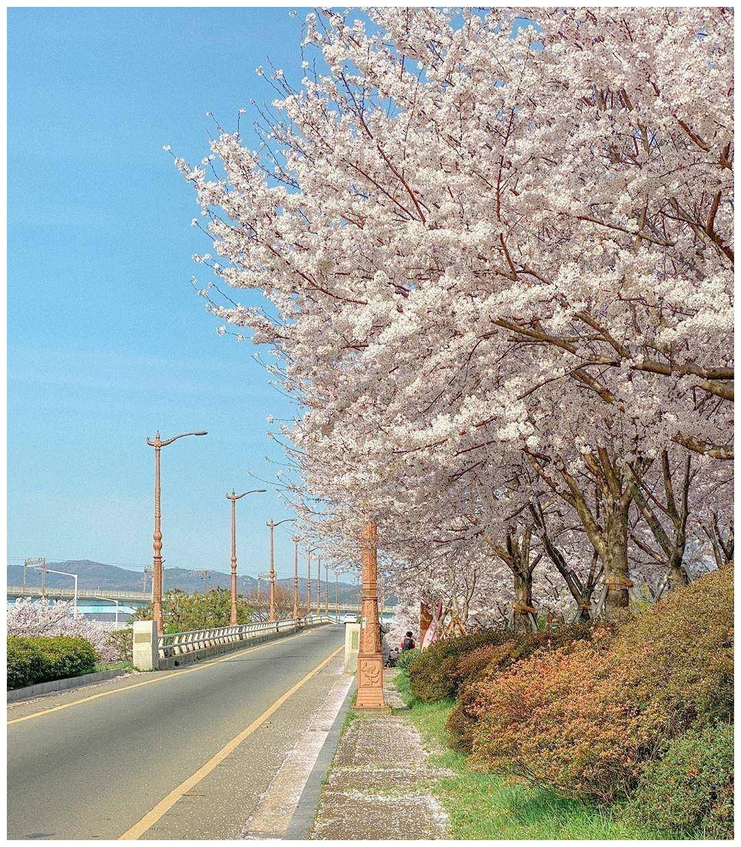 6月25日到7月6日 四大星座意外之财 不屈不挠 高人指点 射手座 好运 巨蟹座 新浪新闻 6月25日到7月6日 四大星座意外之财 不屈不挠 高人指点 射手座 好运 巨蟹座 新浪新闻