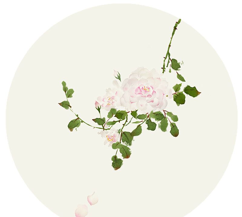 一组唯美的花草插画_高清图集_新浪网